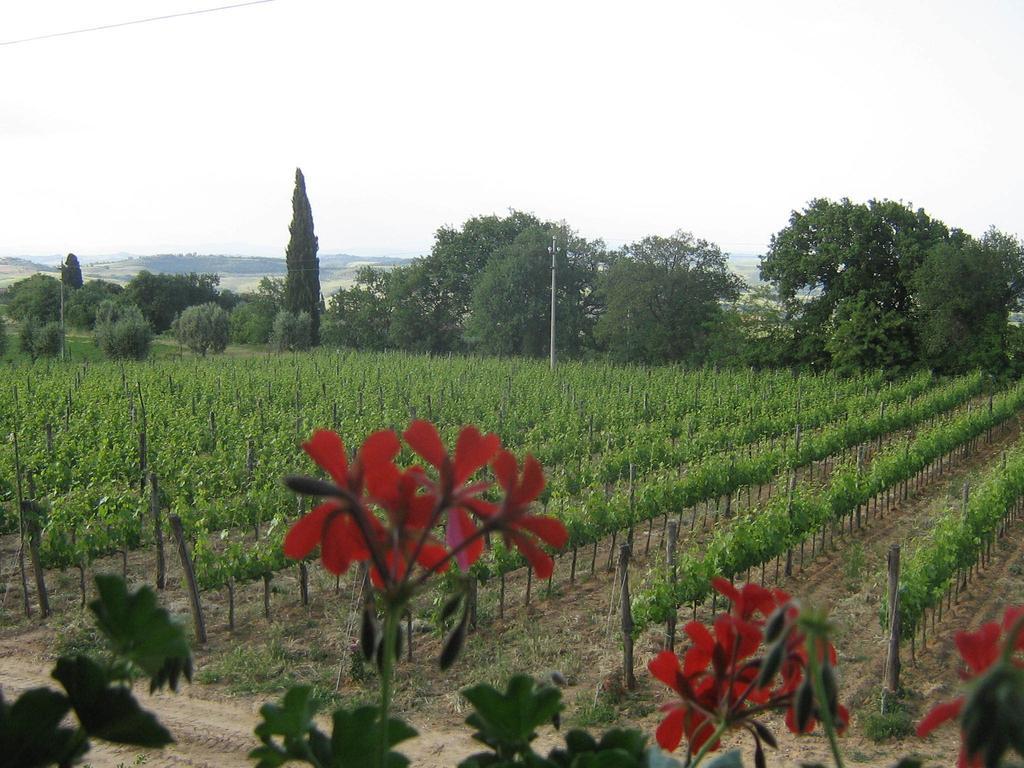 Antico Podere La Martinella San Quirico dʼOrcia المظهر الخارجي الصورة